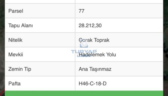 TURYAP LİDER'DEN TORTUM YOLU ÜZERİNDE SATILIK TARLA